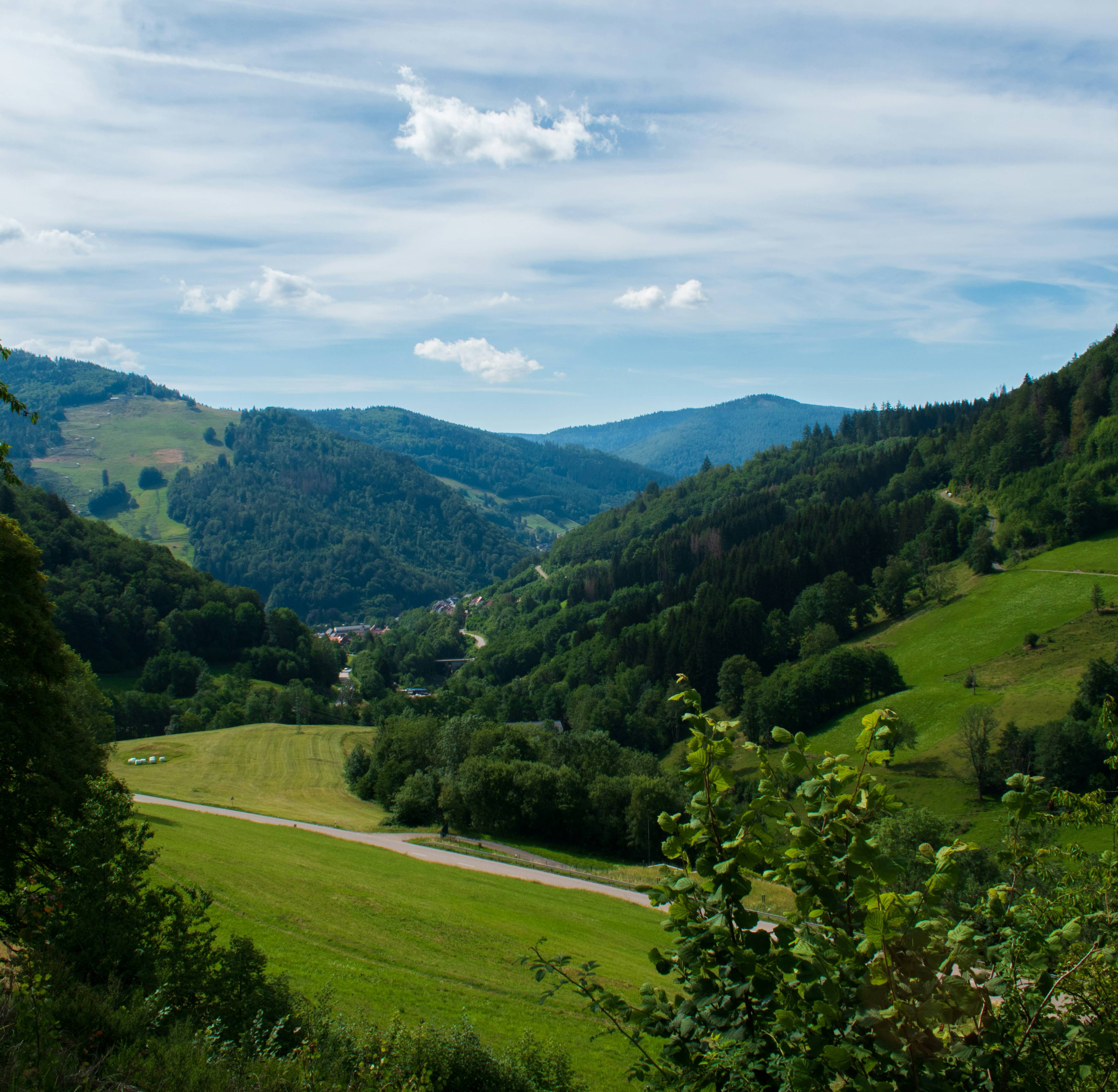Aussicht auf hügelige Wiesen und Wälder
