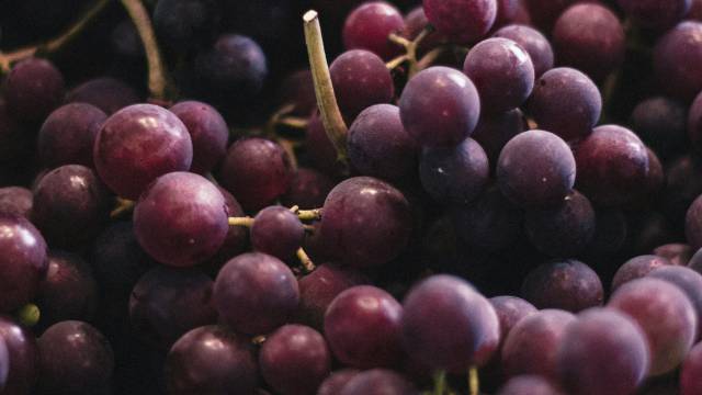 Wein und Kulinarik - REMA Homes