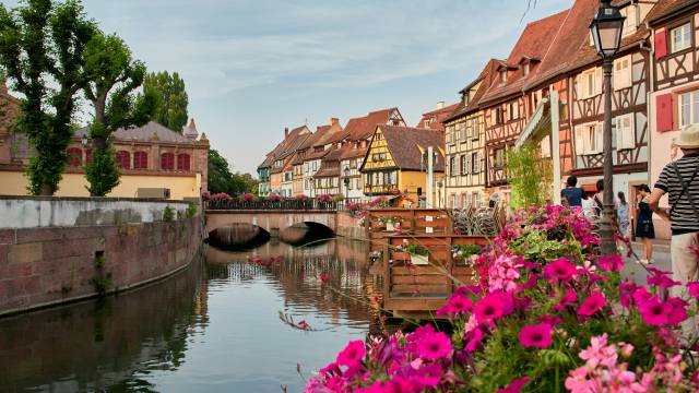 Nähe zum Elsass - REMA Homes