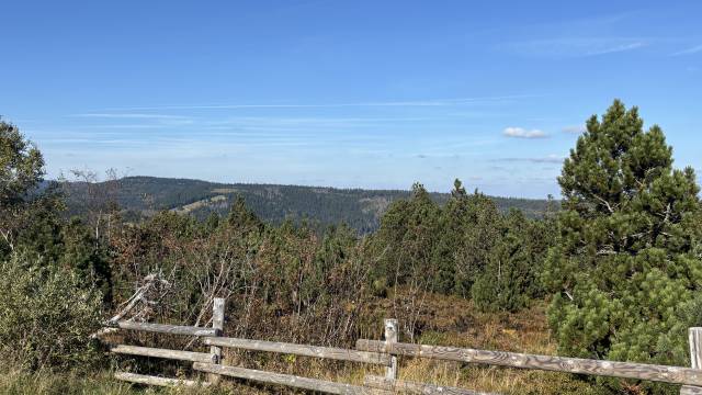 Aktivitäten in der Natur - REMA Homes
