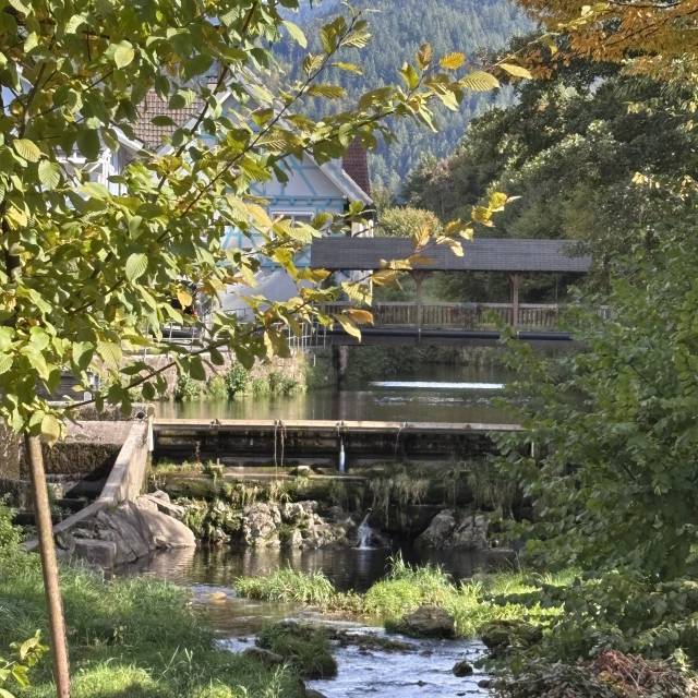 Region - REMA Homes