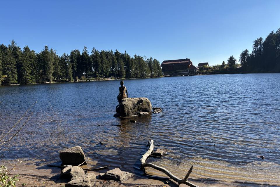 Natur, Kultur und Erholung pur: Der Schwarzwald - REMA Homes
