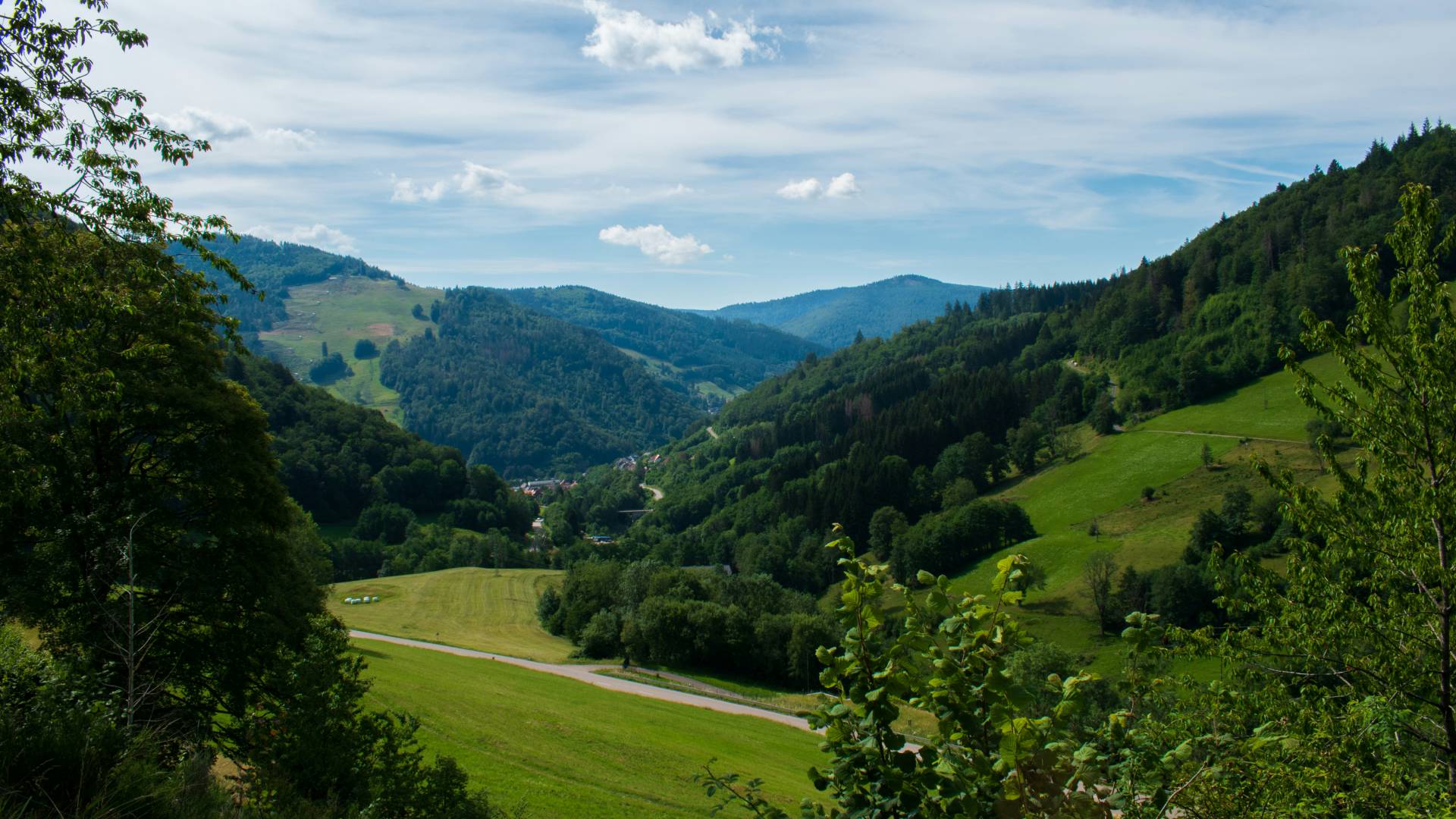 Aussicht auf hügelige Wiesen und Wälder